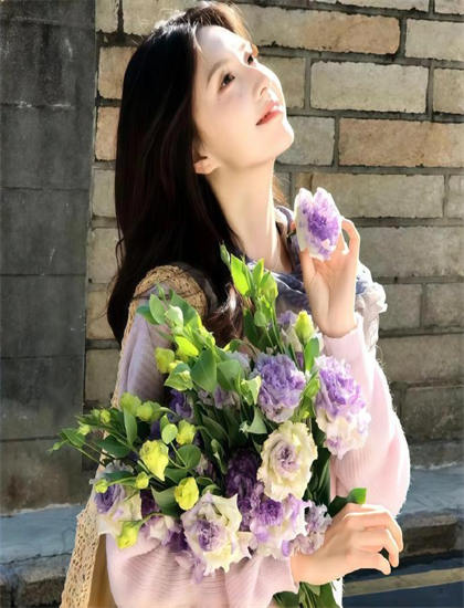 吾辈本如斯故事脉络梳理精彩绝伦的：主线与支线情节完整解读